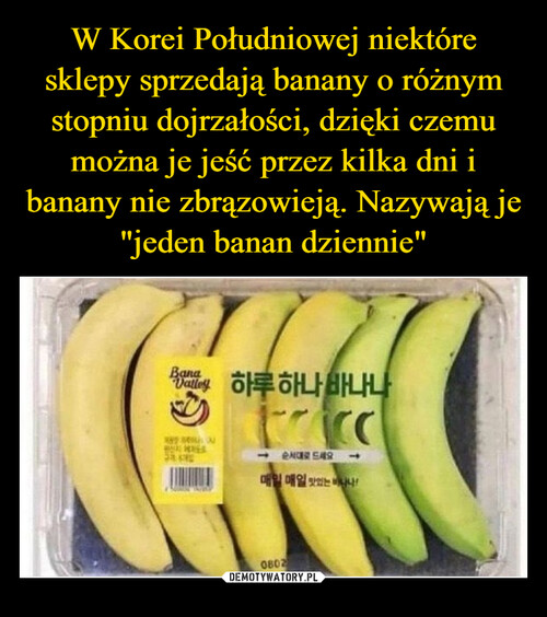W Korei Południowej niektóre sklepy sprzedają banany o różnym stopniu dojrzałości, dzięki czemu można je jeść przez kilka dni i banany nie zbrązowieją. Nazywają je "jeden banan dziennie"
