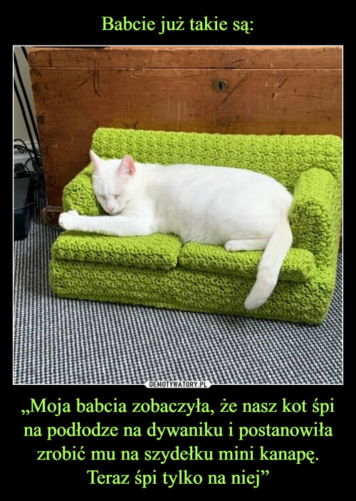 Babcie już takie są: „Moja babcia zobaczyła, że nasz kot śpi na podłodze na dywaniku i postanowiła zrobić mu na szydełku mini kanapę. Teraz śpi tylko na niej”