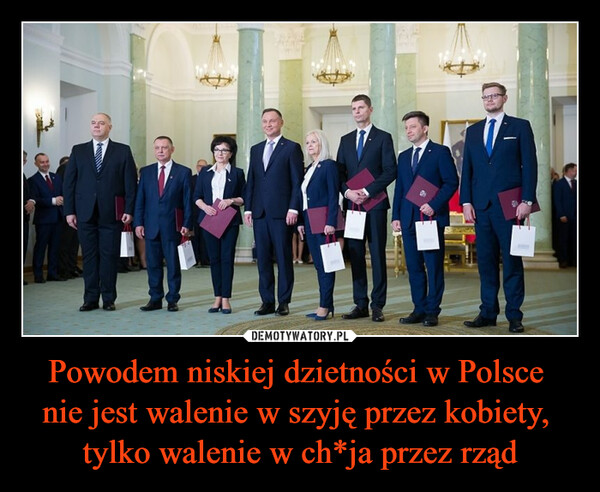 Powodem niskiej dzietności w Polsce nie jest walenie w szyję przez kobiety, tylko walenie w ch*ja przez rząd –  