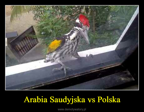 Arabia Saudyjska vs Polska –  