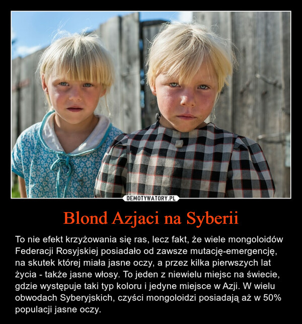 Blond Azjaci na Syberii