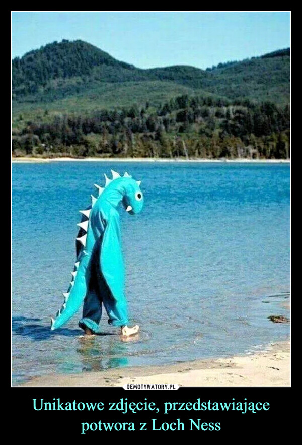 Unikatowe zdjęcie, przedstawiające potwora z Loch Ness