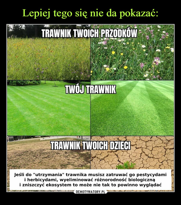  –  TRAWNIK TWOICH PRZODKOWTWÓJ TRAWNIKTRAWNIK TWOICH DZIECIJeśli do "utrzymania" trawnika musisz zatruwać go pestycydami i herbicydami, wyeliminowaćróżnorodność biologiczną i zniszczyć ekosystem to może nie tak to powinno wyglądać