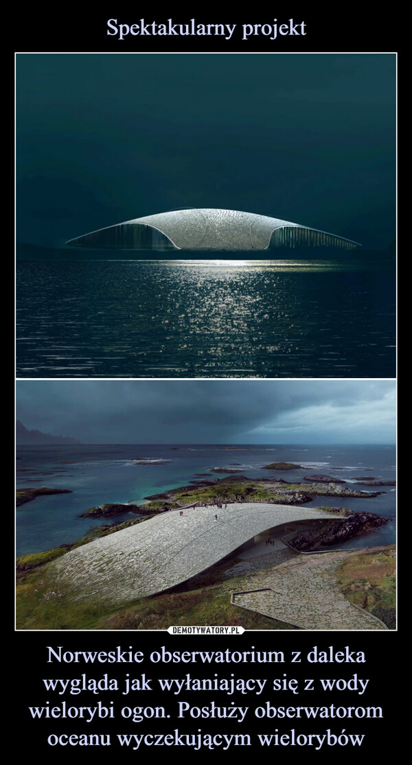 Norweskie obserwatorium z daleka wygląda jak wyłaniający się z wody wielorybi ogon. Posłuży obserwatorom oceanu wyczekującym wielorybów –  