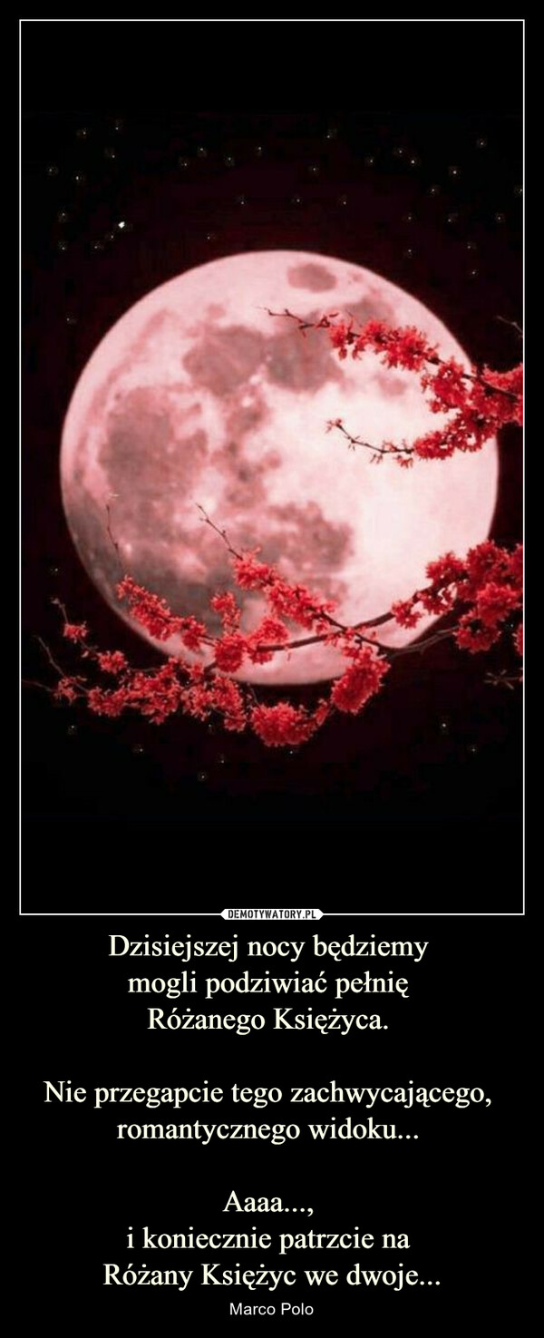 Dzisiejszej nocy będziemy 
mogli podziwiać pełnię 
Różanego Księżyca. 

Nie przegapcie tego zachwycającego, 
romantycznego widoku... 

Aaaa..., 
i koniecznie patrzcie na 
Różany Księżyc we dwoje...