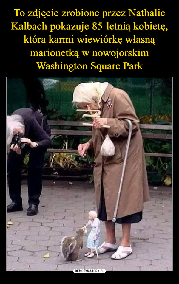 To zdjęcie zrobione przez Nathalie Kalbach pokazuje 85-letnią kobietę, która karmi wiewiórkę własną marionetką w nowojorskim Washington Square Park