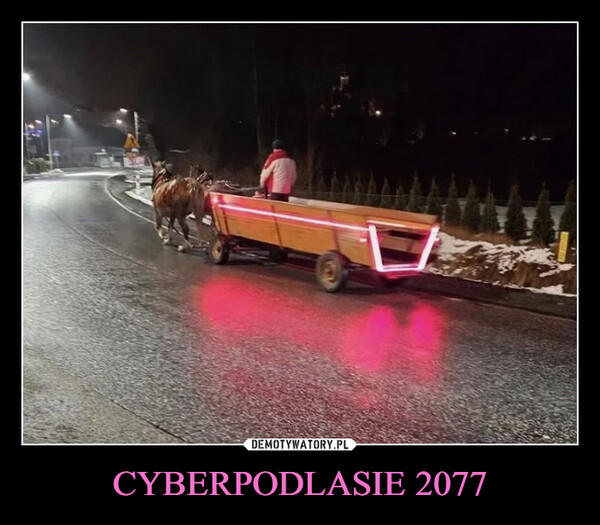CYBERPODLASIE 2077