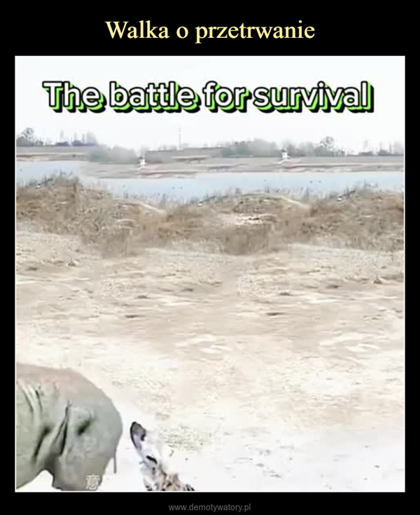  –  The battle for survival