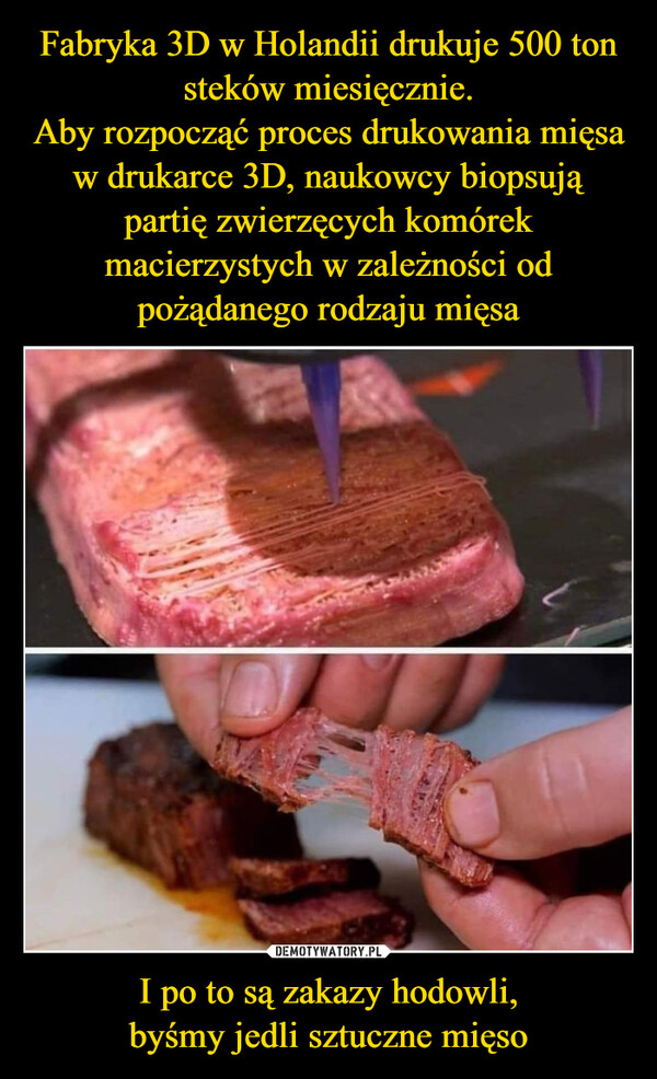 Fabryka 3D w Holandii drukuje 500 ton steków miesięcznie.
Aby rozpocząć proces drukowania mięsa w drukarce 3D, naukowcy biopsują partię zwierzęcych komórek macierzystych w zależności od pożądanego rodzaju mięsa I po to są zakazy hodowli,
byśmy jedli sztuczne mięso